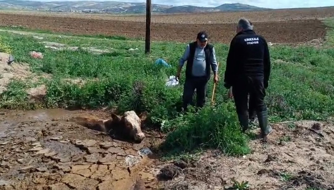 Çamura batan ineği itfaiye kurtardı
